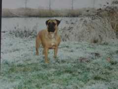 philippe.hillion1.free.fr Delbarre