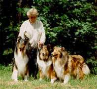 finncollies.com Delcia