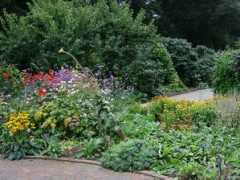 about-garden.com Deleni