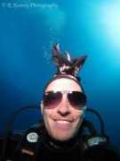 Delfie