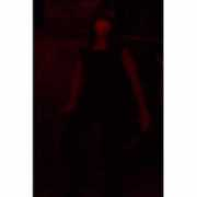 lanazcaplan.com Delgue