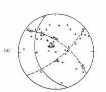 Delibasis