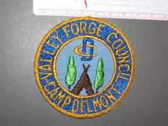 thescoutpatchauction.com Delmont
