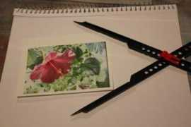 easy-oil-painting-techniques.org Delmus