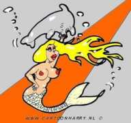 tr.toonpool.com Delphin