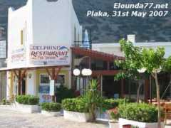 elounda77.net Delphini