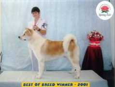 dogzonline.com.au Delrei