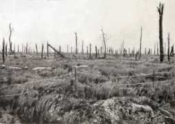 forumeerstewereldoorlog.nl Delville