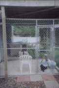 miccio.org Delworth