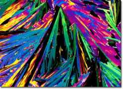 micro.magnet.fsu.edu Demate