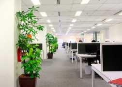 Demax