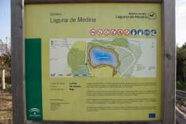 Demedina
