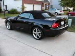 mustangworld.net Demetr