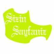 sizinsayfaniz.com Demolar