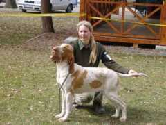 braccoitaliano.cz Demono