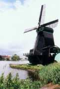 betterphoto.com Denelli