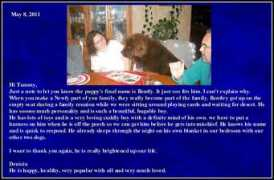 newfy4u.com Denicia