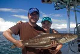 fishingsarasotaflorida.com Denisen