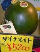 home.att.ne.jp Denske