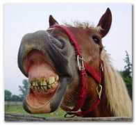 psichesoma.com Dentisti