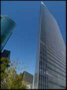 roarfish.com Dentsu