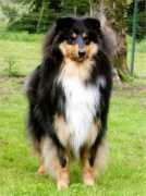 Deole