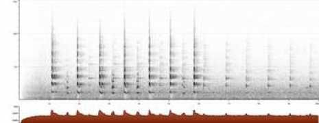 xeno-canto.org Deoniziak