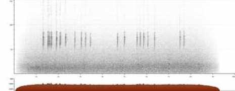 xeno-canto.org Deoniziak