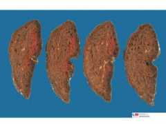 seapcongresos.com Deprada