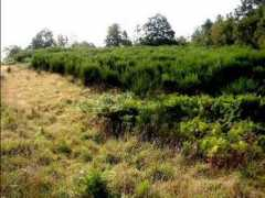 ecosociosystemes.fr Deprise