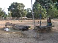 kinderhulpgambia.nl Deput