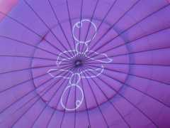 skychariot.com Derald