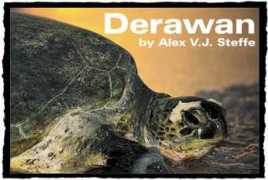 skin-diver.com Derawan