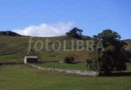 Derbyshire