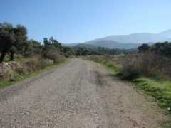 panoramio.com Dereli