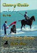 taureauxdanslarue.com Deribo