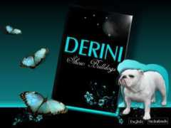 derini.nl Derini