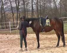 Deryll