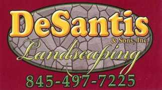 nysproperties.com Desantis