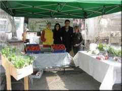 shushanvalleyhydrofarm.com Desare