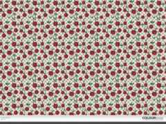 colourlovers.com Descoberta