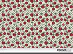 colourlovers.com Descoberta