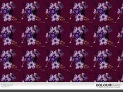 colourlovers.com Desera