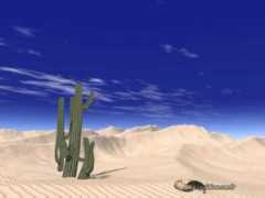 Deserto