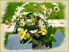 Desfleurs