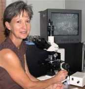 desleygray.com Desley