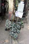 imagens.n3po.com Desliza