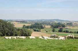 Desnor
