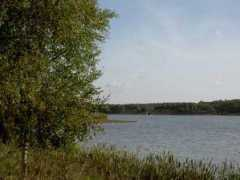Desoe