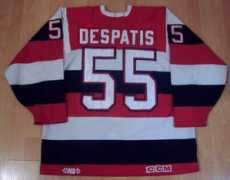 frosken.com Despatis